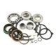 USA Standard Transfer Case NP243 Bearing Kit 1995+