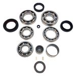 USA Standard Transfer Case BW4446 & BW4447 Bolt-on Rear Yoke Bearing Kit