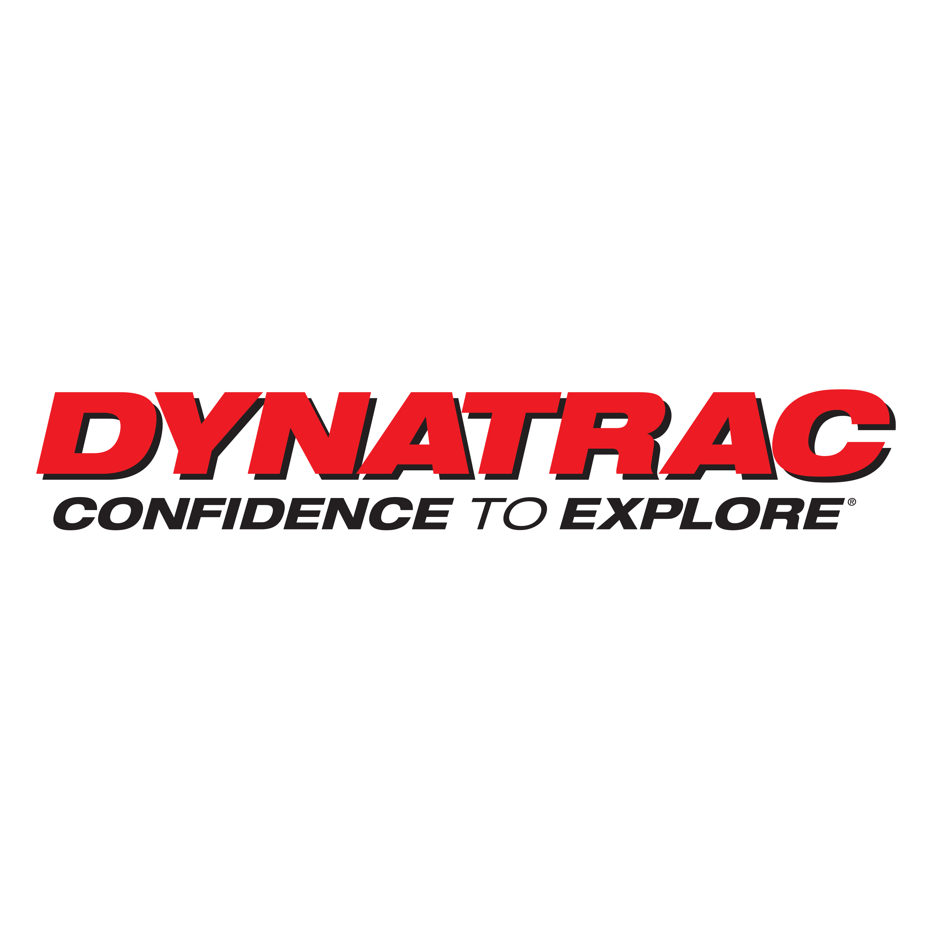 Dynatrac ProGrip™ Brake Pad Set, Rear, Jeep Wrangler JK