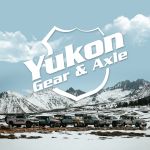 Yukon Mighty Seal for Dana 80 Differential, Diameter 3.185” 